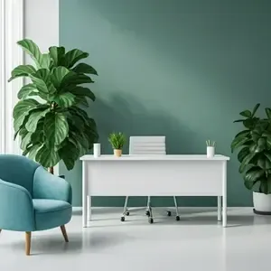 Serene clinic environment